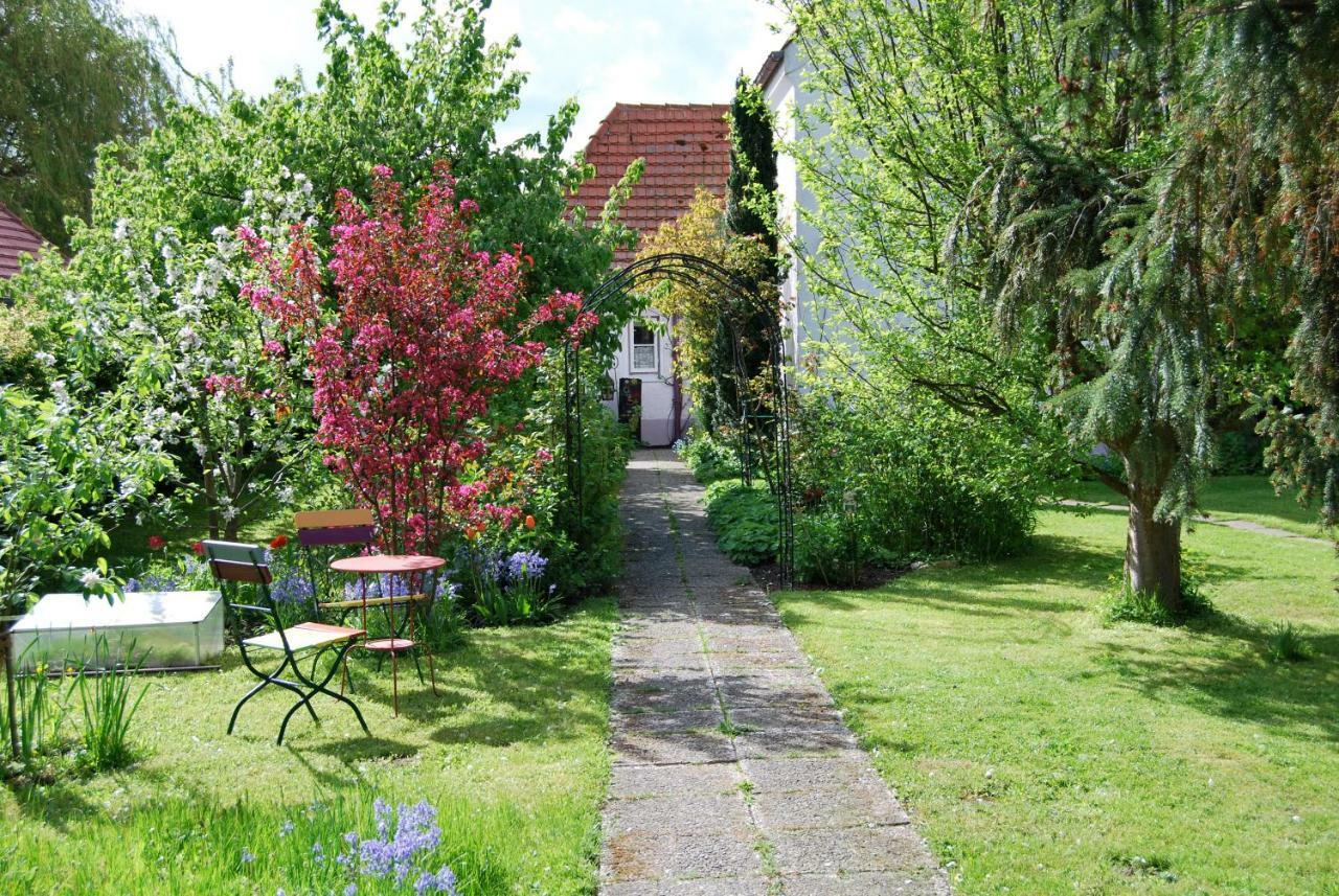 Ferienwohnung Rittersporn Cismar Exterior foto