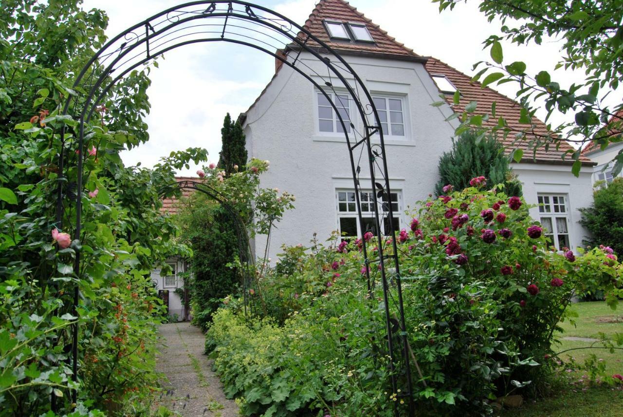 Ferienwohnung Rittersporn Cismar Exterior foto