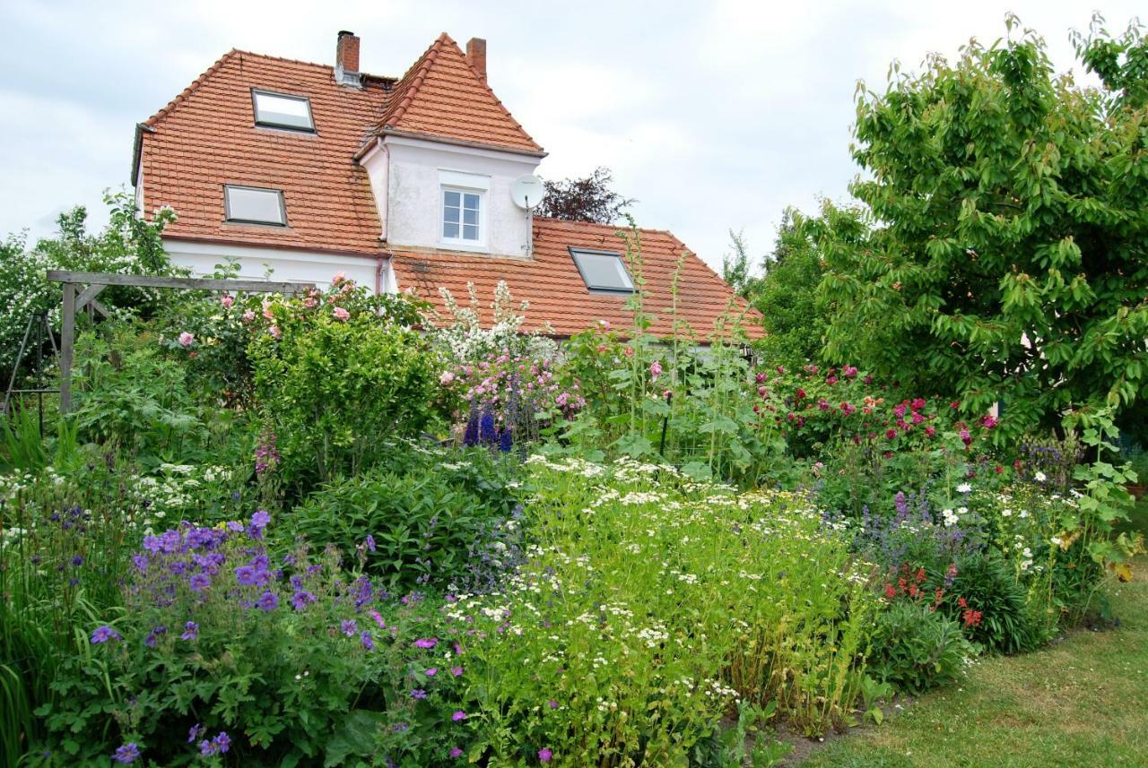 Ferienwohnung Rittersporn Cismar Exterior foto